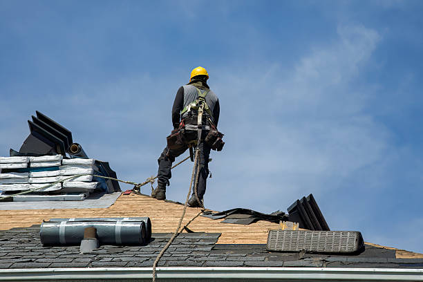Professional Storm Damage Roof Repair technician working in Earlville, IL